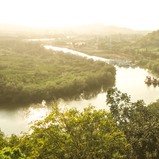Se observa una selva que tiene un rio de la región amazonica