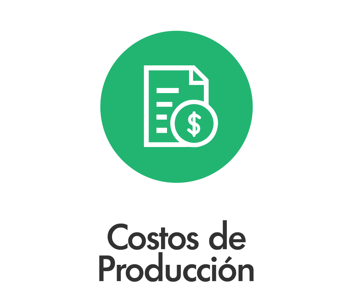 https://www.partidodelau.com/wp-content/uploads/2021/03/costos-produccion.png