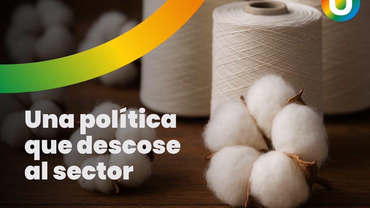 Una política que descose al sector