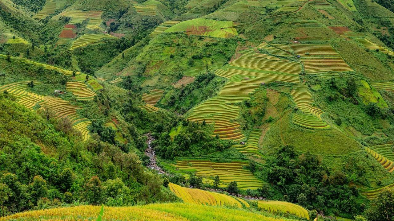 <p>Proyecto de La U busca beneficiar a pequeños y medianos productores del agro colombiano</p>
