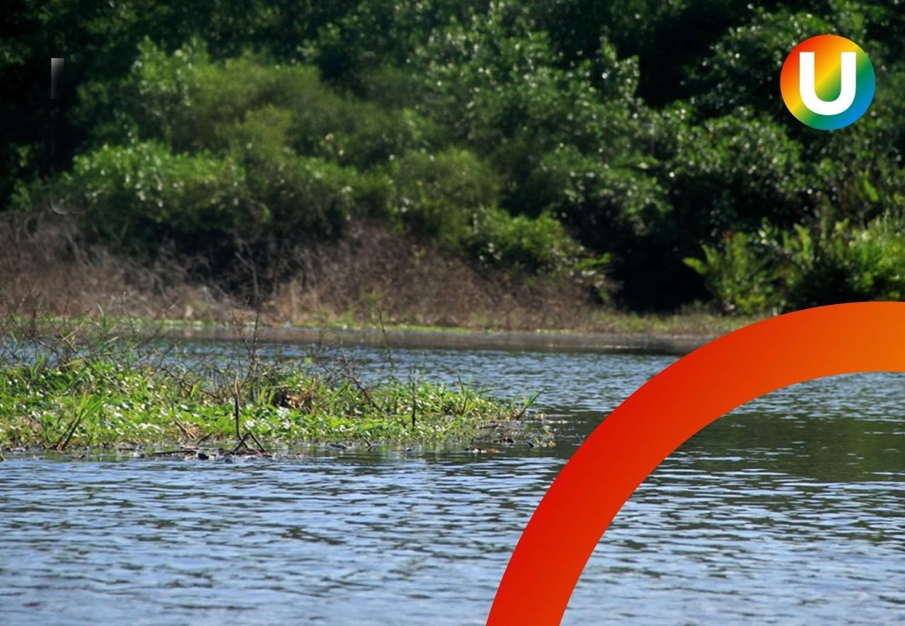 Indiferencia institucional asfixia a la Ciénaga Grande