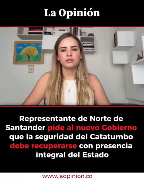 Diana Riveros pide presencia integral del Estado para la seguridad del Catatumbo