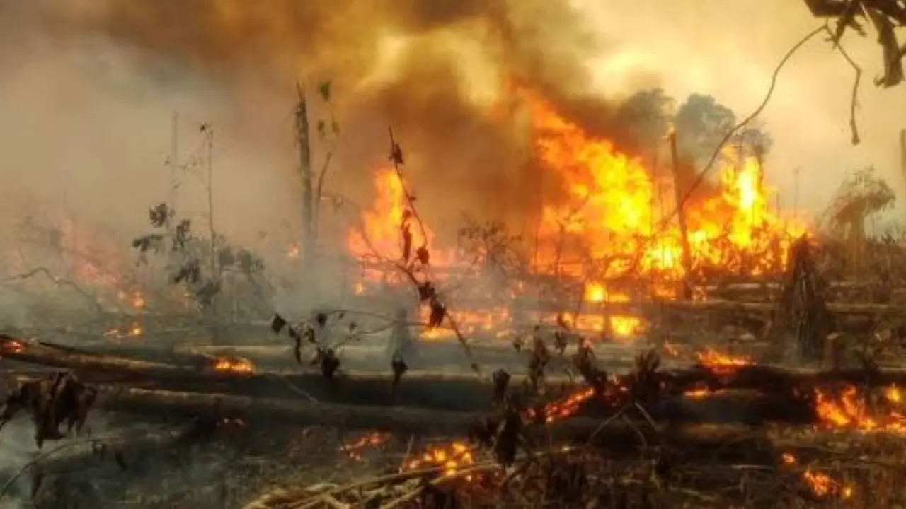 Congresistas de Cesar y Norte de Santander piden apoyo al gobierno por incendios forestales